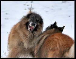 11_beidekIMG_0750