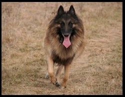 13_IMG_0781