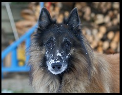20_IMG_0702