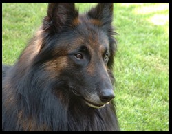 12_kopf044