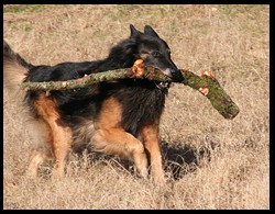 15_IMG_0552 Kopie2