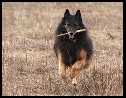 16_IMG_0765kopie
