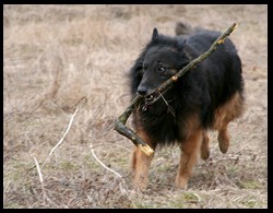 18_IMG_1336.jpgkopie
