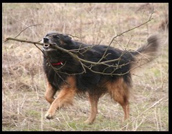 19IMG_1632