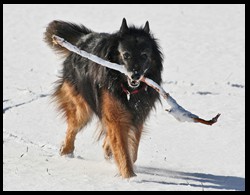 21_IMG_1886